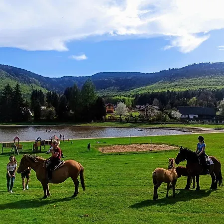 Kolonia Leśna Z Sauną *