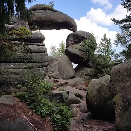 Kolonia Leśna Z Sauną Domek alpejski Radkow