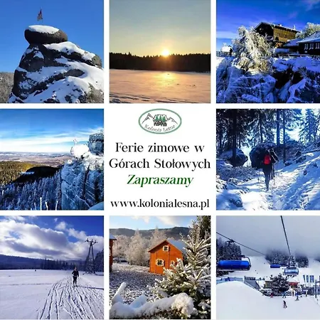 Kolonia Leśna Z Sauną Domek alpejski