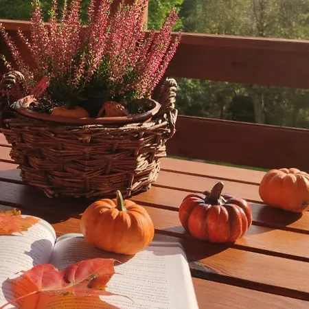 샬레 Kolonia Lesna Z Sauna I Goraca Balia