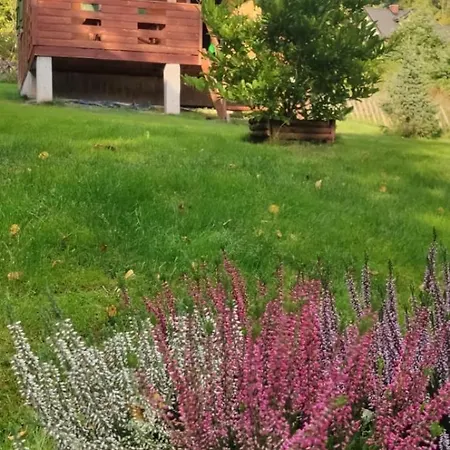 Kolonia Leśna Z Sauną Domek alpejski *