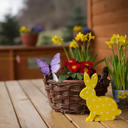 Kolonia Lesna Z Sauna I Goraca Balia