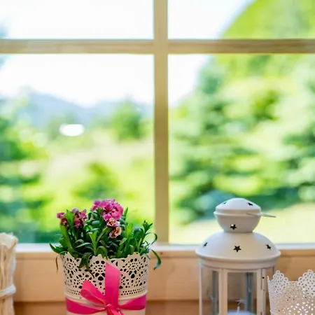 Kolonia Leśna Z Sauną * Radkow