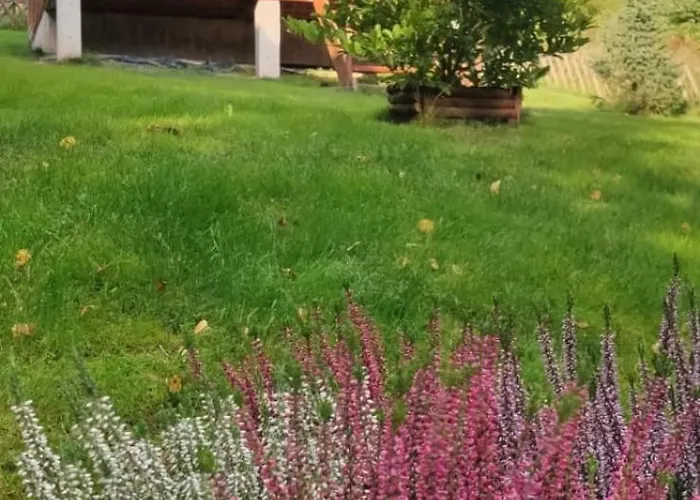 Kolonia Lesna Z Sauna I Goraca Balia Horská chata *