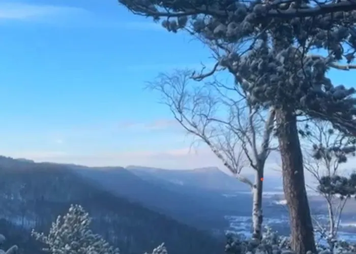Kolonia Lesna Z Sauna I Goraca Balia Radkow