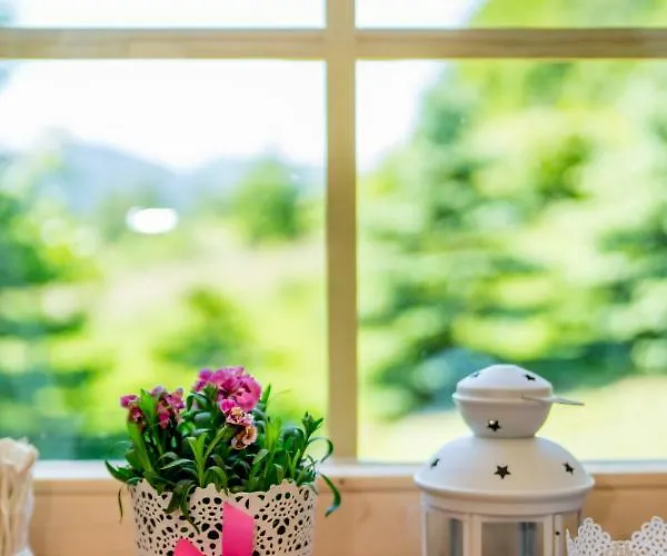 Kolonia Lesna Z Sauna I Goraca Balia * Radkow